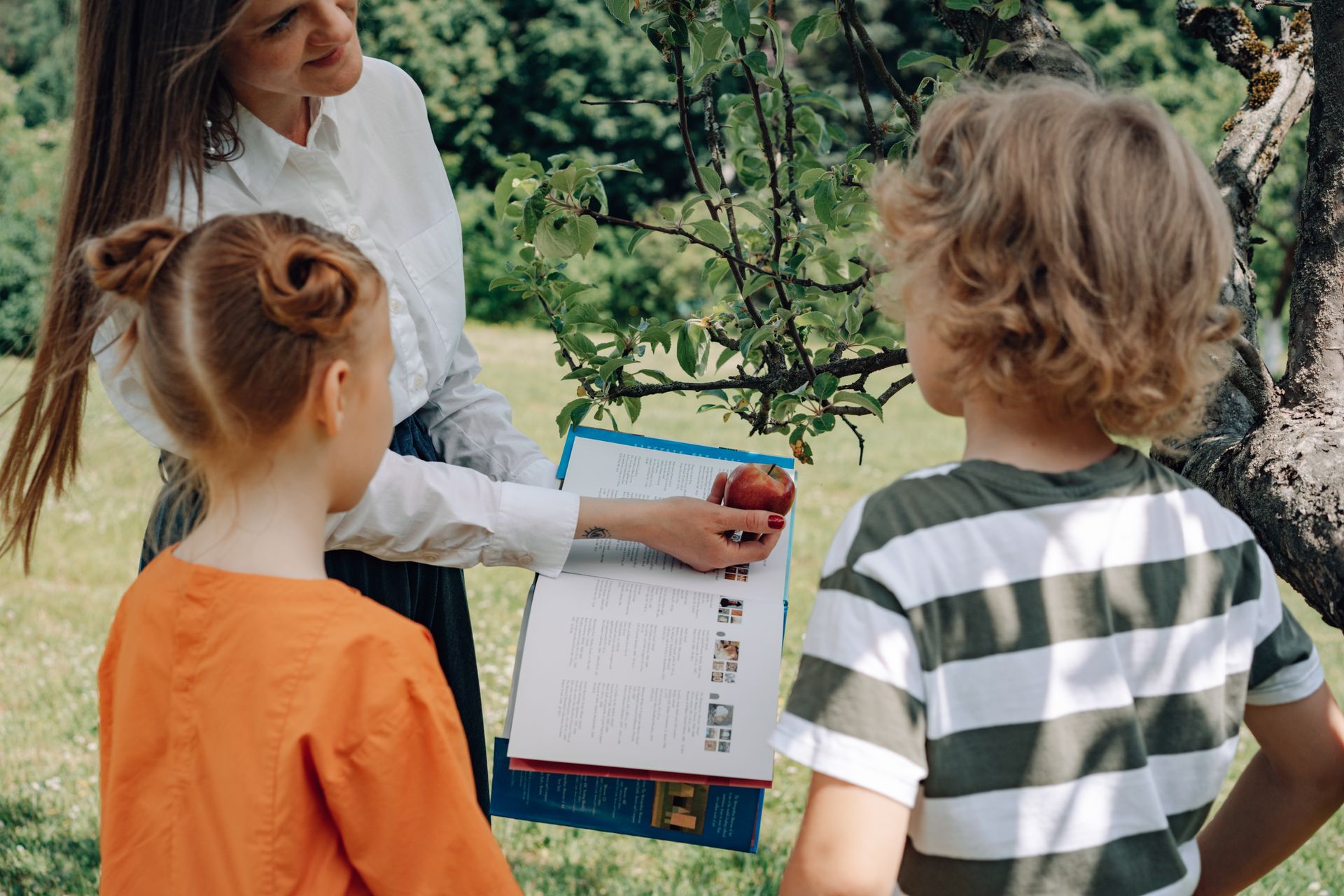 Eine Lehrerin zeigt zwei Kindern unter einem Baum ein Buch über Äpfel
